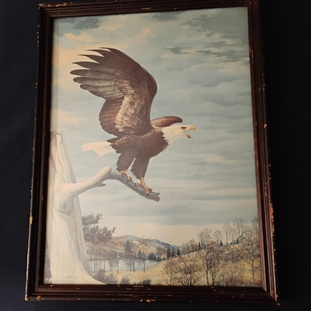 Vintage Bald Eagle Print